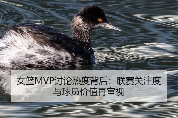 nv-lan-tao-lun-re-du-bei-hou-lian-sai-guan-zhu-du-yu-qiu-yuan-jia-zhi-zai-shen-shi-2-450.jpg
